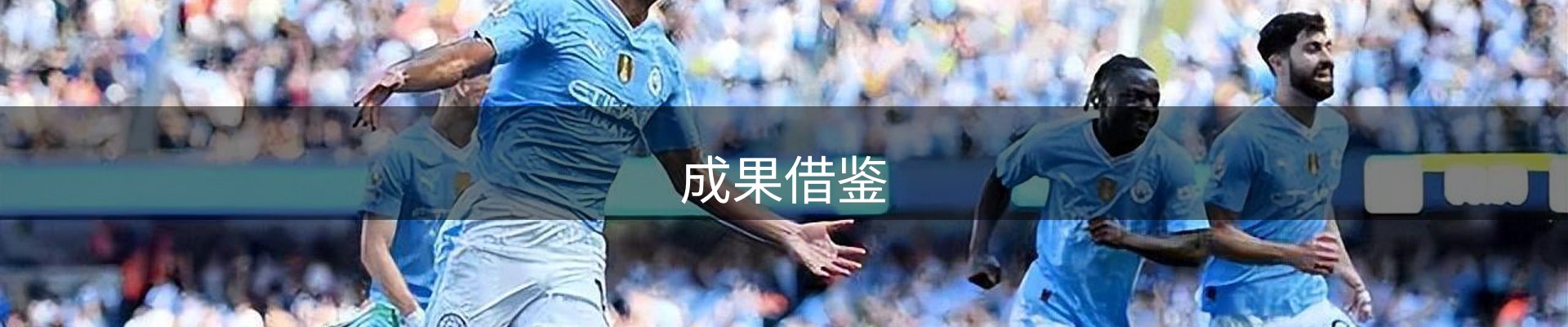 成果借鉴
